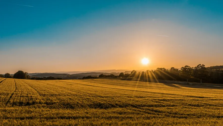 Sunlight over rolling fields and rural land